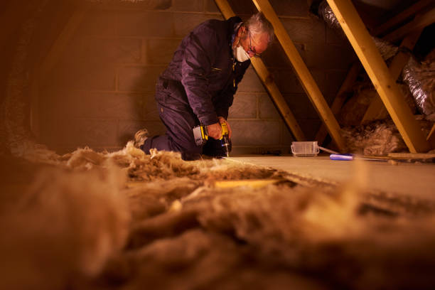 Best Blown-In Insulation  in Tucker, GA